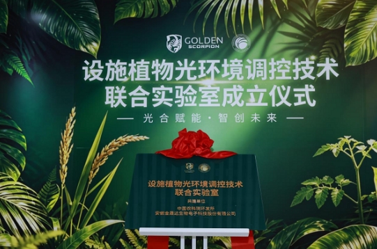 金晟达